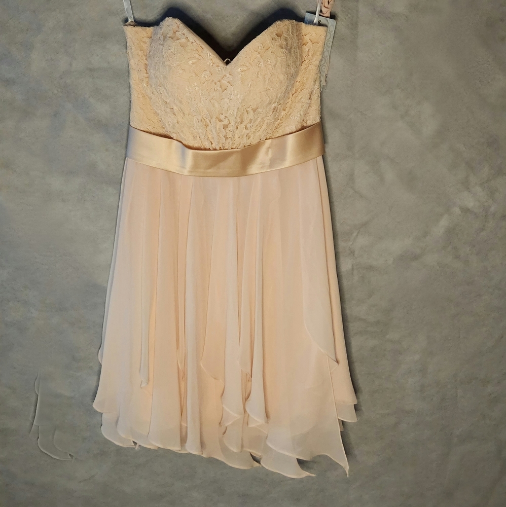 Christina Wu Strapless Lace Chiffon Short Dress Strapless Sweetheart Neckline